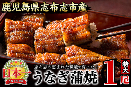うなぎの大楠＜特大＞1尾170g うなぎ 鰻 ウナギ 1尾 国産 九州産 蒲焼き かばやき 冷凍 うな重 ひつまぶし タレ 山椒 真空パック ランキング 人気 a1-104