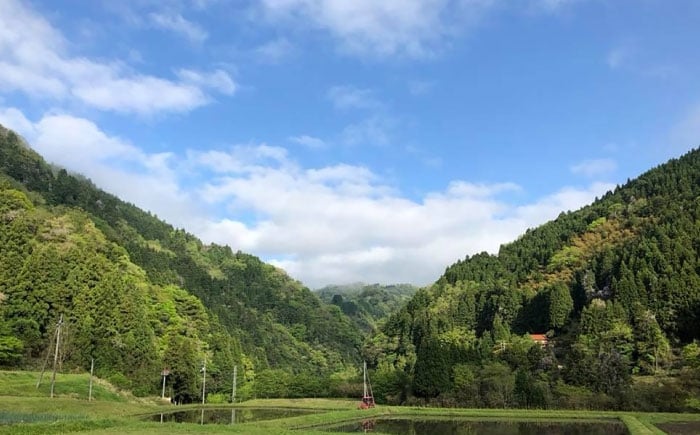 餅 杵つきまるもち もち まるもち お餅 おもち お雑煮 おしるこ お正月
