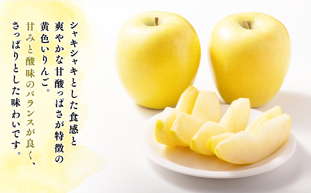 ≪令和8年産先行受付≫贈答用シナノゴールド約3kg【青森県 平川市 山内ファーム】贈答 贈答規格 平川市産 青森りんご りんご リンゴ 林檎 シナノ ゴールド お取り寄せ 先行予約 果物 くだもの フ