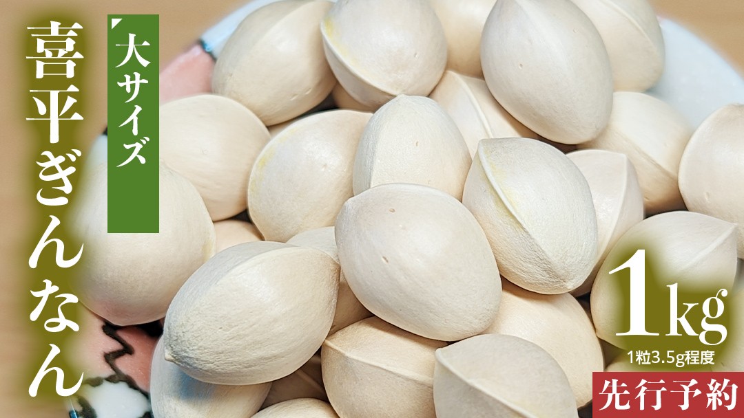 
                  【先行予約】 喜平 ぎんなん 1kg (1粒3.5g程度・大サイズ) 【2026年10月中旬より発送開始】  イチョウ 秋 美味 栄養満点 健康 高血圧予防 むくみ改善 疲労回復 美肌
                