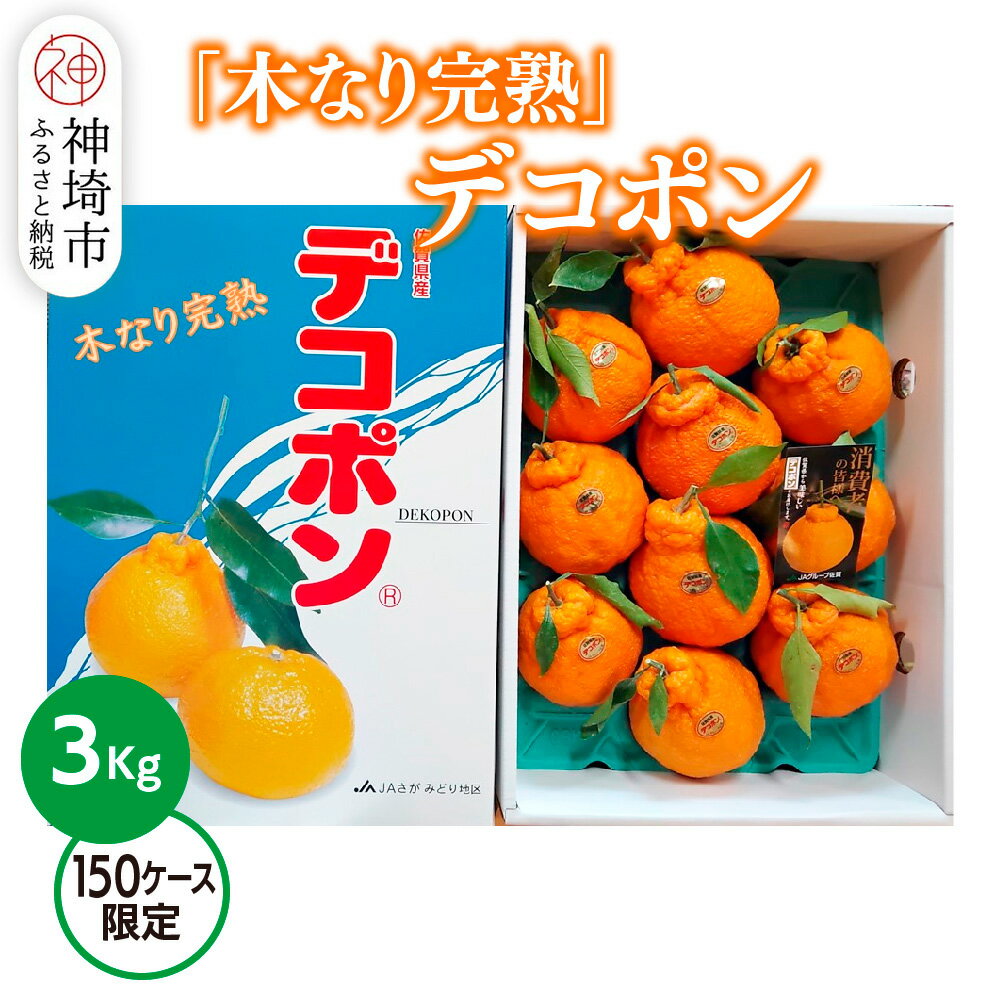 【ふるさと納税】【2026年3月中旬より発送開始】【木なり完熟】デコポン 3kg 150ケース限定【みかん 柑橘 清美 ポンカン フルーツ デザート】(H116148)