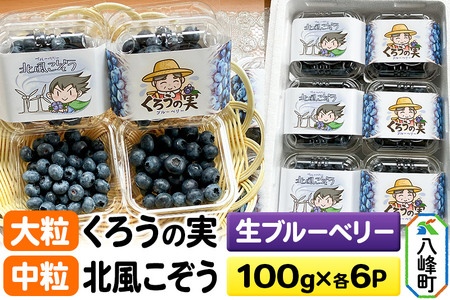 【2025年収穫先行受付】生ブルーベリー(大粒)「くろうの実」＆(中粒)「北風こぞう」セット 各100g×6パック 計12パック