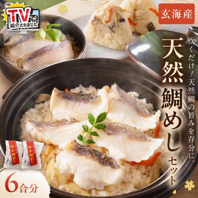 ふるさと納税 中間市 玄海の極上天然鯛めしセット[鯛の切身、だし汁、鯛茶漬け用だし]×2(6合分)