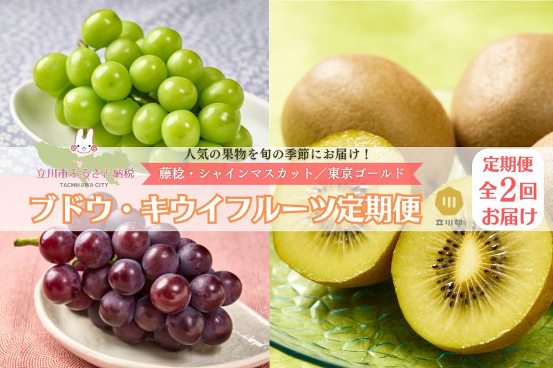 
            ブドウ・キウイフルーツ定期便（2ヶ月：全2回）
          