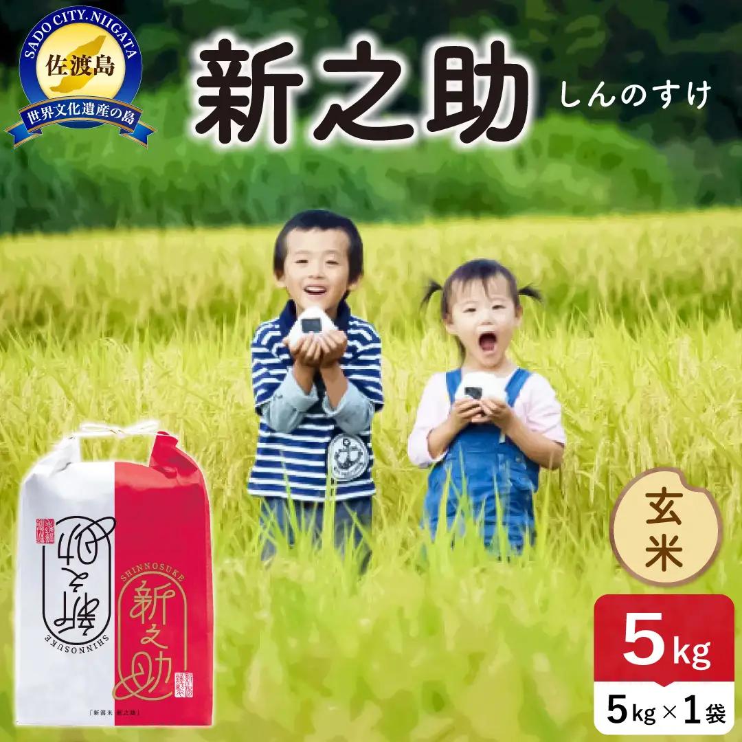 令和8年産 佐渡島産 新之助 玄米5kg 195962-104302