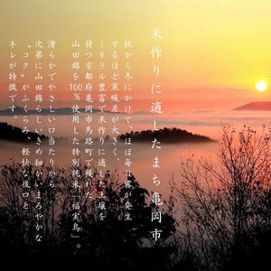 日本酒 福実鳥 720ml 2本 酒