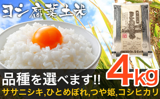 【新米予約】令和6年産 ヨシ腐葉土米 ササニシキ 精米4kg（2kg×2袋）