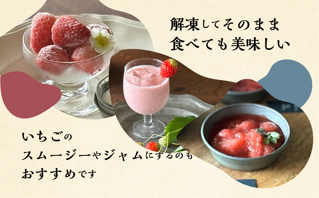 【2026年5月より発送】 《 訳あり 》 冷凍いちご 品種おまかせ 1.5kg (500g × 3p) 簡易梱包 サイズ 不揃い のため 訳あり 訳アリ フルーツ 果物 苺 いちご 紅ほっぺ よつぼ