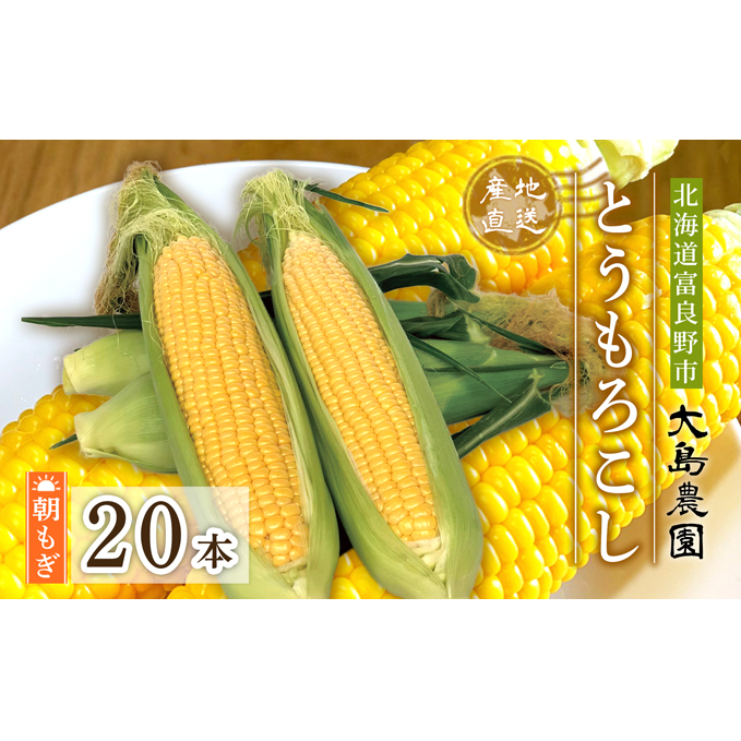 【2026年7月中旬～発送】朝もぎ とうもろこし 恵味 めぐみ 20本 L-2L 北海道 富良野市 (大島農園)
