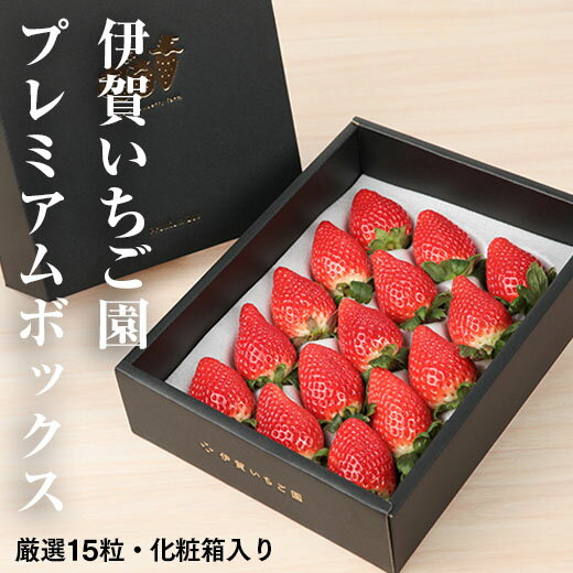 【ふるさと納税】【2月発送開始・数量限定】 伊賀いちご園のプレミアムボックス（厳選15粒化粧箱入り） | イチゴ いちご 苺 ストロベリー strawberry 高級 ギフト 贈答用 プレゼント ふくはる香 ゆうやけベリー
