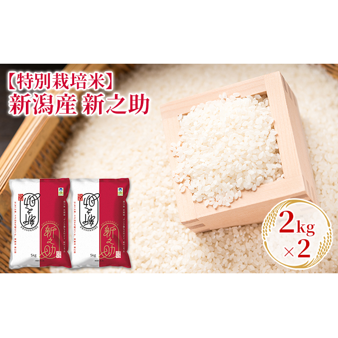 令和７年産【特別栽培米】新潟産新之助 2kg×2 お米 精米 白米 ご飯 ブランド米 銘柄米 おにぎり お弁当 産地直送 