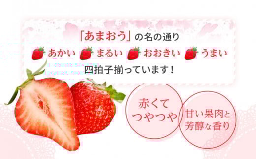 あまおうピューレ100g×10個　BD09