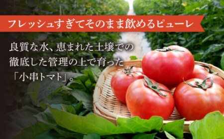 【6回定期便】小串トマト 濃厚150% ピューレ「OGUSHI」160g×10本セット / 人気トマト 王道野菜 絶品トマト 至高トマト 国産トマト 長崎トマト 川棚トマト 九州野菜 小串とまと トマ