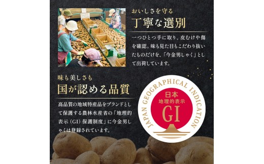 今金男しゃく ポテトチップス うすしお味 1箱 (70g×6袋) 北海道 男爵 だんしゃく じゃがいも 芋 湖池屋 コイケヤ 限定 ポテチ お菓子 駄菓子 スナック F21X-768