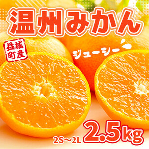 益城町産　温州みかん　約2.5kg【1352234】