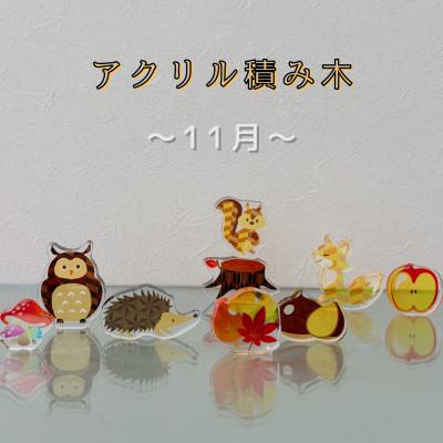 ふるさと納税 羽島市 季節のアクリル積み木　収納ケース付〜11月〜
