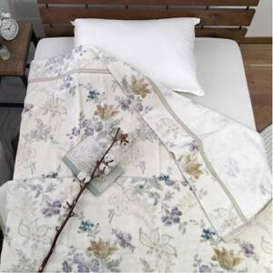 【シングル2枚組】『ほっ』とするやさしい暖かさの綿毛布  SH-36901S-2P【1644244】