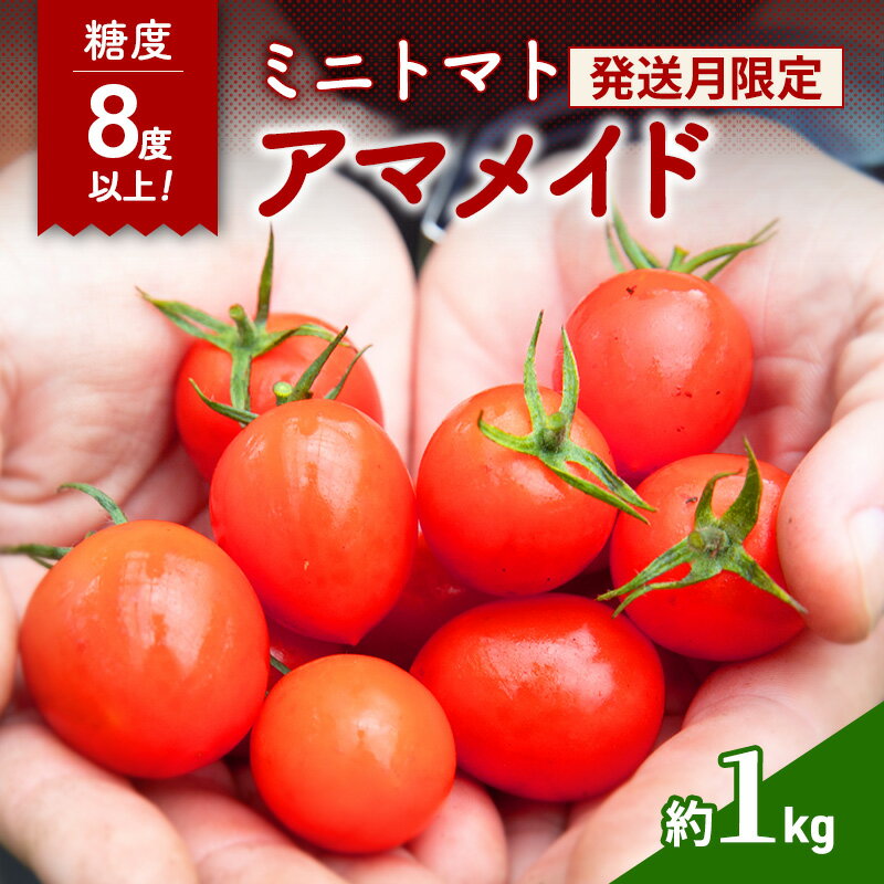 【ふるさと納税】先行予約 ミニトマト 1kg 農家さん一押し 期間限定 トマト アマメイド 糖度8度以上 甘い 野菜 旬 春 夏 旬の野菜 季節の野菜 先行 予約 期間 限定 2026年 5月6月出荷 常温 大阪 大阪府 岸和田市　お届け：2026年5月中旬から2026年6月末まで