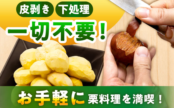 【先行予約】【2025年9月下旬から12月下旬に順次発送】冷凍むき栗「日本栗」 計500g（250g×2P）/ 栗 くり 日本栗 むき栗 岐阜 恵那 / 恵那市 / えな笠置山栗園 [AUAV005]