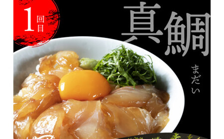 《3ヶ月定期便》漬け丼 土佐の漬け丼づくし3ヶ月定期便〈高知市共通返礼品〉【漬け丼】