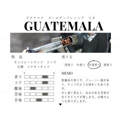 ふるさと納税 筑後市 グアテマラ　ゴールデンパレンシア　リオ　ウォッシュド(中深煎り)200g×2 |  | 01