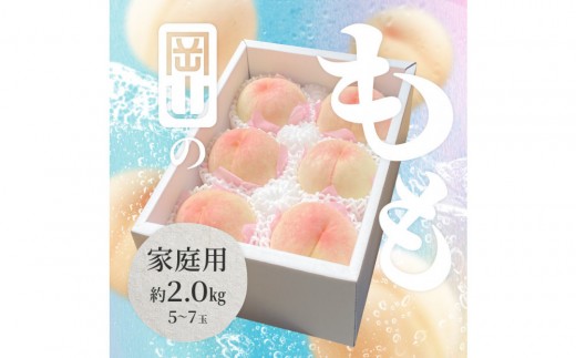 2026年 岡山県産 白桃 家庭用 約2kg（5〜7玉）