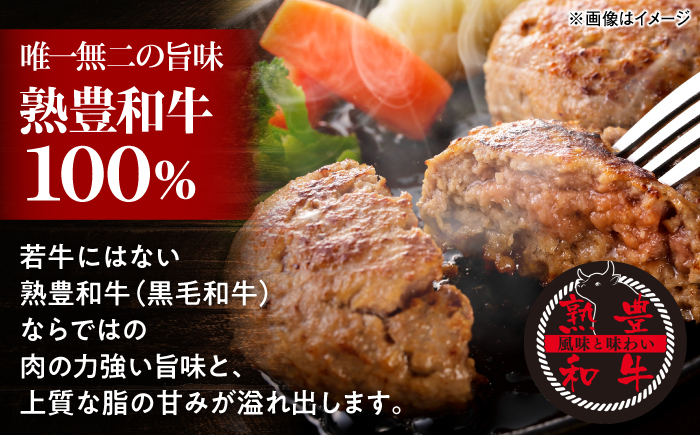 黒毛和牛100％ハンバーグ食べ比べセット（デミグラスソース・トマトソース）計8個 島根県松江市/株式会社MJビーフ [ALIO008]