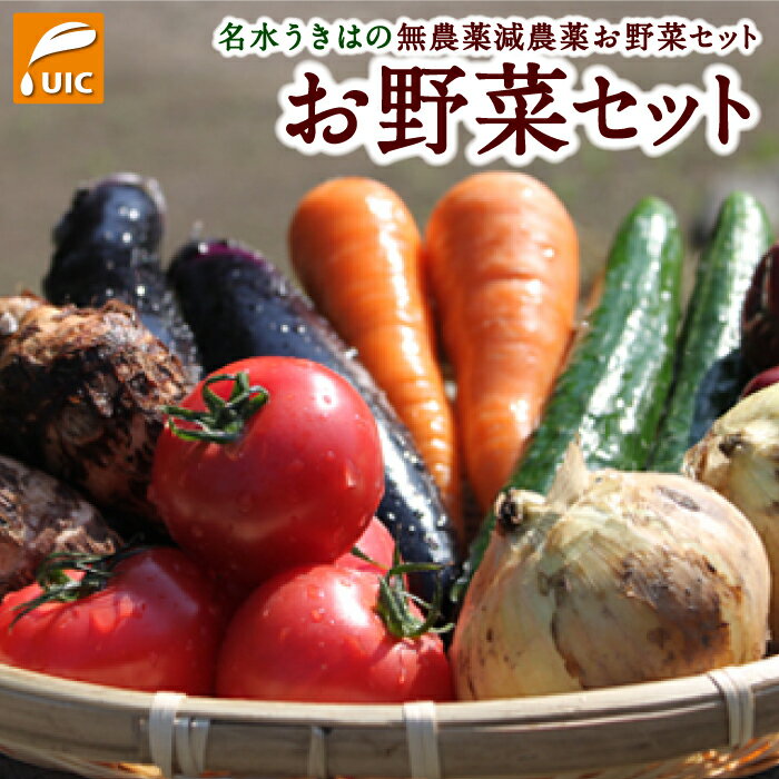【ふるさと納税】【選べる種類】UIC 名水うきはの無農薬減農薬お野菜セット 野菜 定期便 詰め合わせ 野菜詰め合わせ 冷蔵 送料無料 福岡県 うきは市