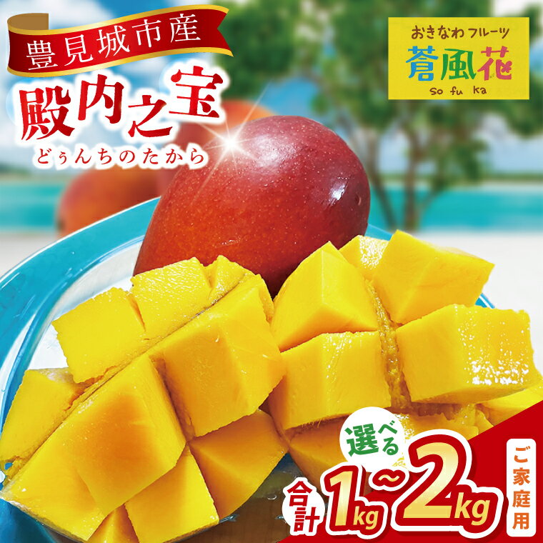【ふるさと納税】【選べる内容量】 【2026年7月より順次発送】豊見城産マンゴー『殿内之宝(どぅんちのたから)』(ご家庭用)｜マンゴー フルーツ 果物 くだもの 先行予約 完熟マンゴー 沖縄フルーツ 家庭用 おきなわ 沖縄 沖縄県 豊見城市(DR004)