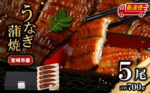 【最速便】宮崎県宮崎市産 うなぎの蒲焼 約700g(約140g×5尾) タレ・山椒セット_M325-004-2W