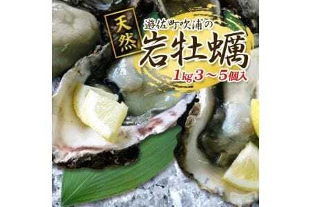 天然岩牡蠣 約1kg 3～5個入 殻付き 山形県遊佐町吹浦産 6月上旬～8月下旬頃お届け 冷蔵便 ※着日指定・離島（沖縄県を含む）発送不可 カキ かき 岩かき お取り寄せ 日本海 東北 庄内 鮮魚 新鮮 [1471]