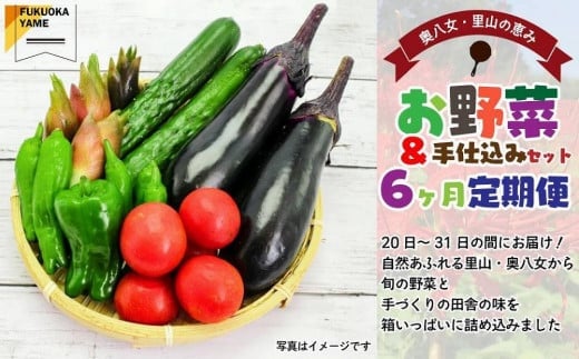 
            【福岡八女・奥八女】里山の恵み　お野菜＆手仕込みセット定期便【全６回】※配送不可：北海道と離島（沖縄本島を含む）
          