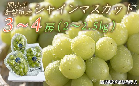 ぶどう 先行予約 シャイン マスカット 3～4房 約2.0～2.5kg 秀品 ブドウ ぶどう