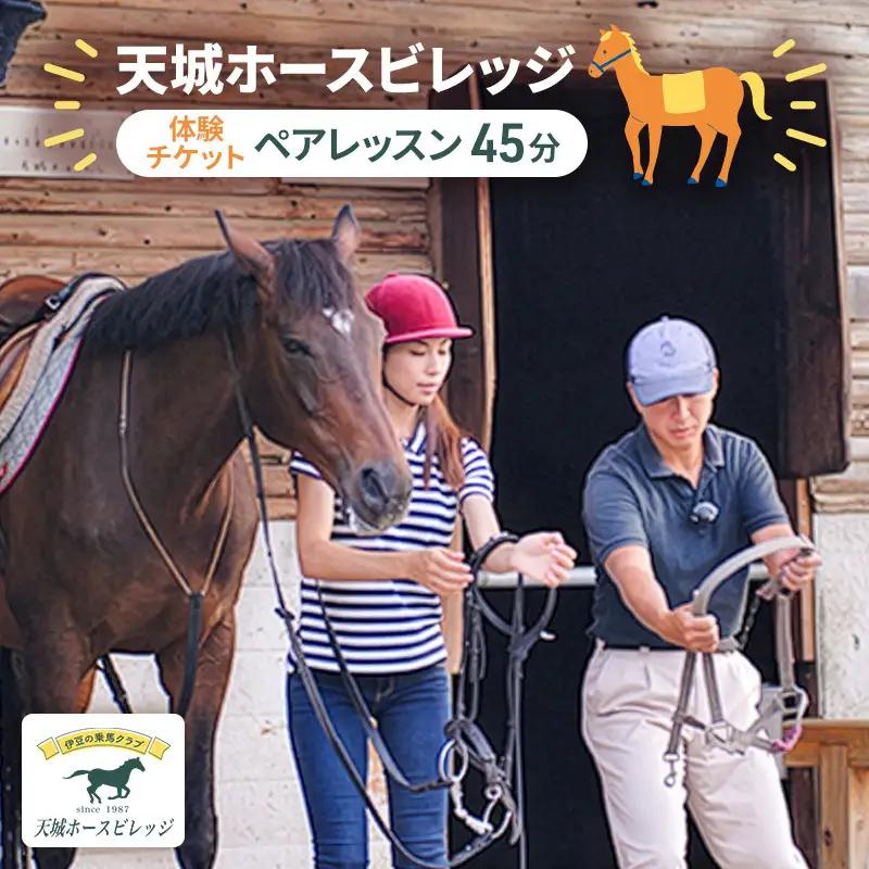 乗馬体験 伊豆 ペアレッスン 45分 天城 子供 大人 乗馬体験