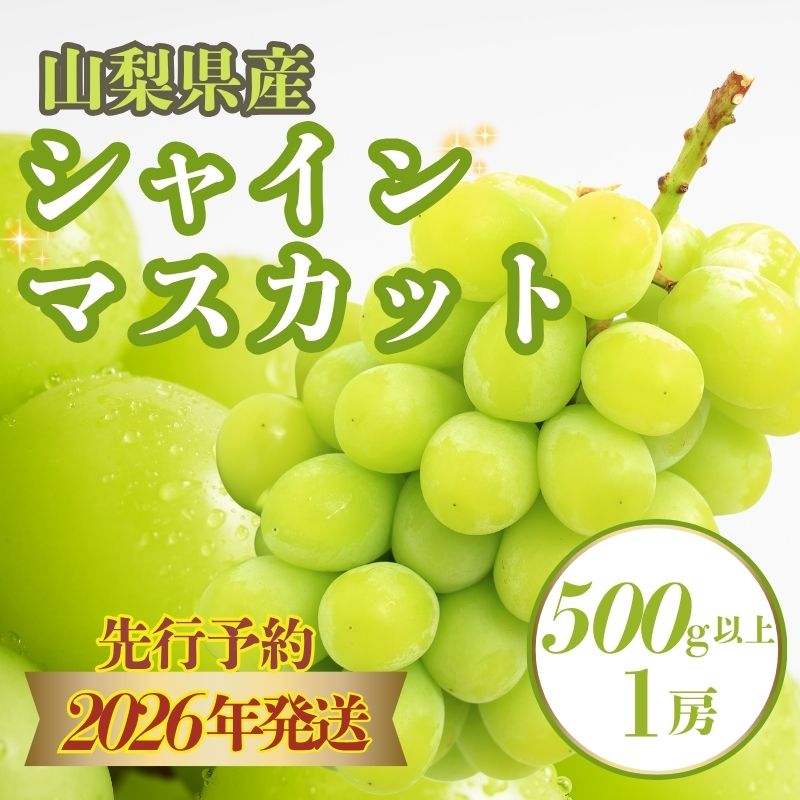 【2026年先行予約】　シャインマスカット500g以上（1房）【シャイン シャインマスカット 葡萄 ブドウ フルーツ】