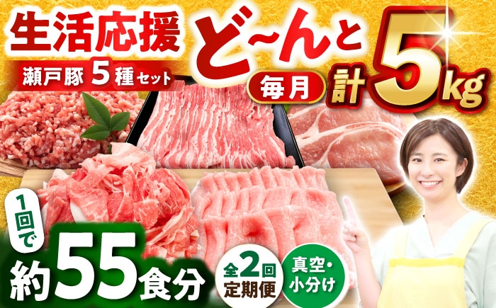 
                  【全2回定期便】 瀬戸豚 生活応援セット 計5kg / 豚肉 豚バラ しゃぶしゃぶ ミンチ セット 小分け / 瀬戸市 / 関屋精肉店 [BBBQ227]
                
