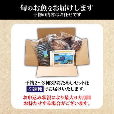 ふるさと納税 土佐清水市 【お試し 干物セット】季節の魚入り 干物詰め合わせセット 2〜3種類【乾物・ギフト対応】R00795 |  | 03