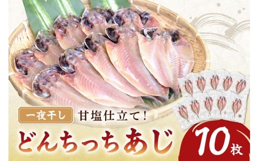 どんちっちあじ一夜干し10枚セット 魚介類 魚 干物 一夜干し あじ 鯵 セット 【136_1970】