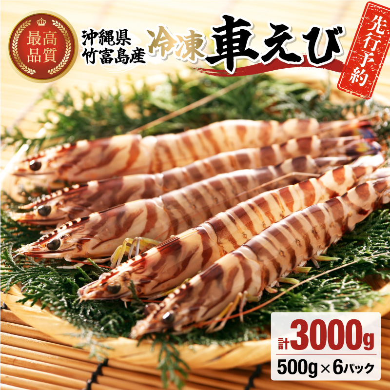先行予約 車えび 3kg 竹富島産 冷凍車えび
