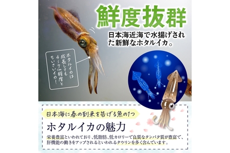 【最短2～5営業日以内に発送】魚屋が漬けるホタルイカの沖漬け　6パック（1パック180g）計約1kg