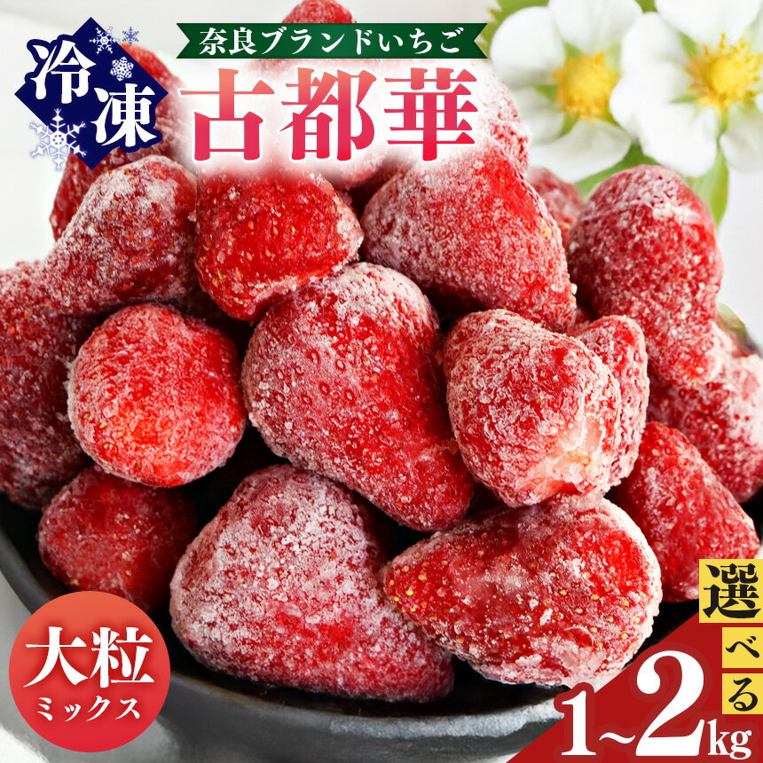 【ふるさと納税】 平群の古都華 冷凍いちご （ ミックスサイズ ）約 1kg or 約 2kg | フルーツ 果物 くだもの いちご 苺 イチゴ 古都華 ことか 冷凍 アイス ミックス スムージー 製菓 材料 奈良県 平群町 扇田農園