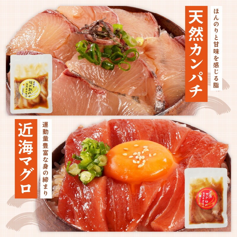 【冷凍】海鮮漬け丼5種お試しセット N019-YA192