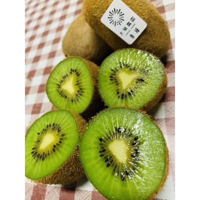 ふるさと納税 春日部市 【春日部市】香緑27玉入り　大晴農園のキウイフルーツ |  | 01