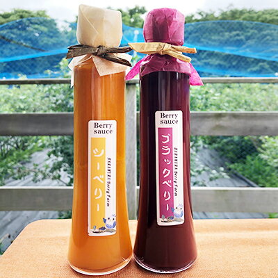 【ふるさと納税】八ヶ岳の大自然で育ったブラックベリー&シーベリーソース2本セット 加工食品 フルーツ