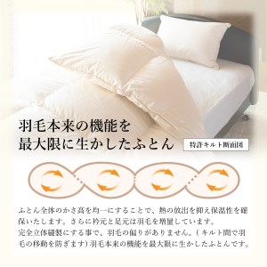  布団【完全立体キルト】羽毛掛けふとん（ シングル ）ポーランド産ホワイトダック ダウン93％ きなり色 布団