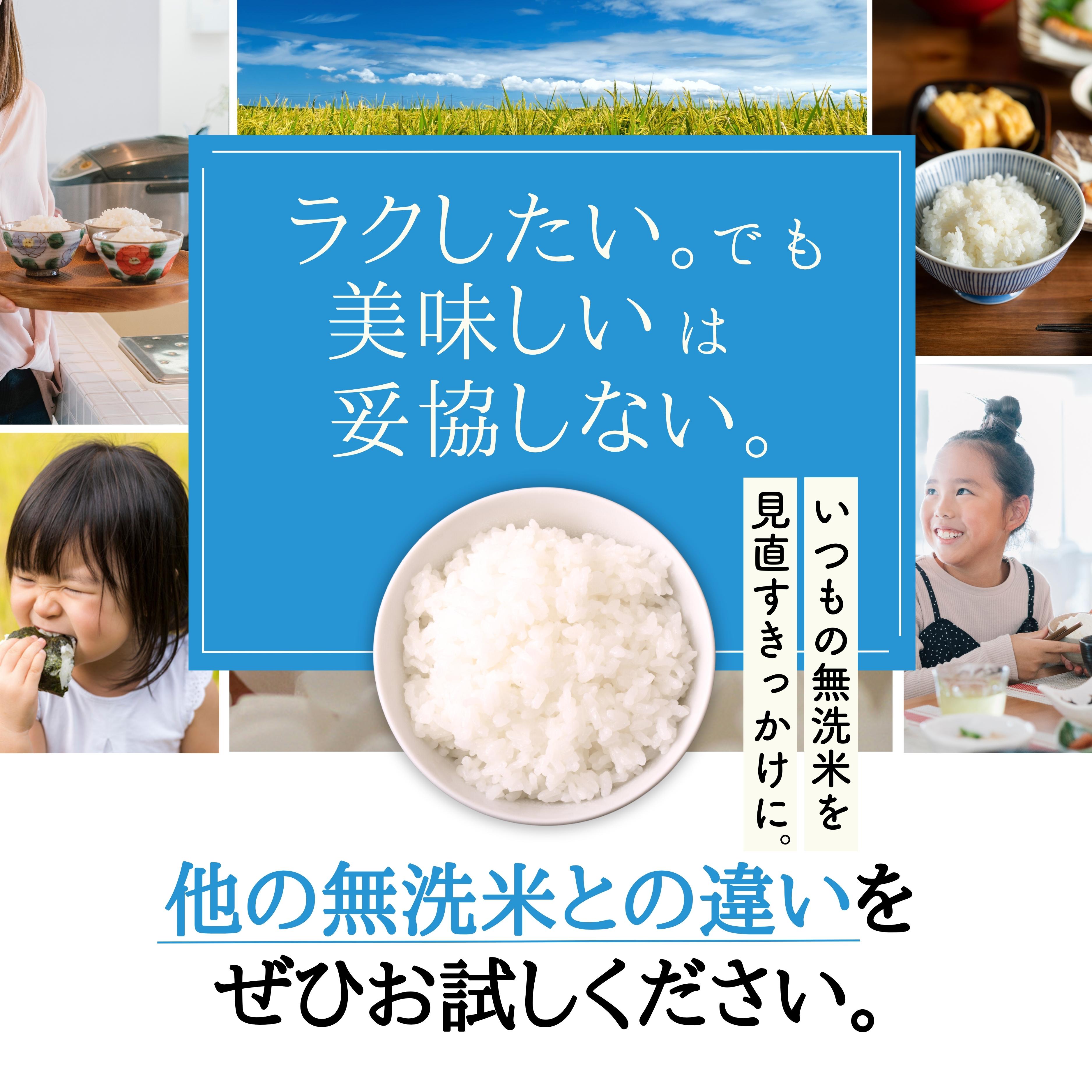 【定期便】 2kg 【12ヵ月連続お届け】 計24kg 広島県産 無洗米 ラクしても美味しさそのまま お米マイスター厳選