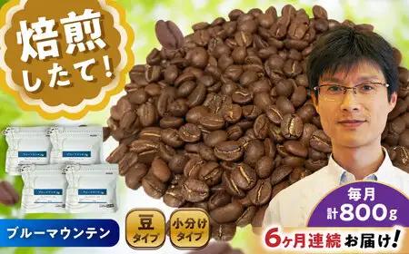 【全6回定期便】ブルーマウンテンNo.1　コーヒー豆　200g×4個 (豆)  / コーヒー  ドリップ  豆 / Coffee SAKURA[BBAB084]