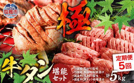 【定期便】牛タン 仙台名物 厚切り 牛たん 堪能贅沢 セット・極（全5回の定期便）　【04203-0421】