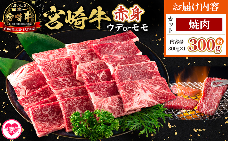 ＜宮崎牛赤身【焼肉】（ウデorモモ）300g＞【8月発送】脂控えめ ヘルシー あっさり うで もも 炒め物 肉料理 ご馳走 国産 ブランド牛肉 黒毛和牛【MI681-my-aug】【ミヤチク】