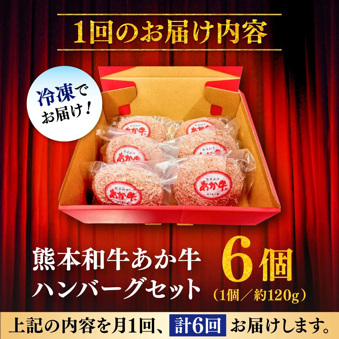全6回定期便 熊本和牛 あか牛 ハンバーグ セット 約120g×6個 BHAS034 ハンバーグ